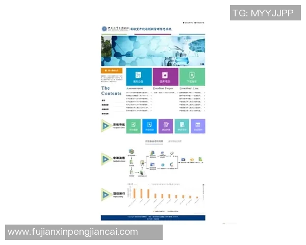 赛事组织全流程管理与创新模式探讨提升赛事体验与效率的实践路径 赛事组织全流程管理与创新模式探讨提升赛事体验与效率的实践路径