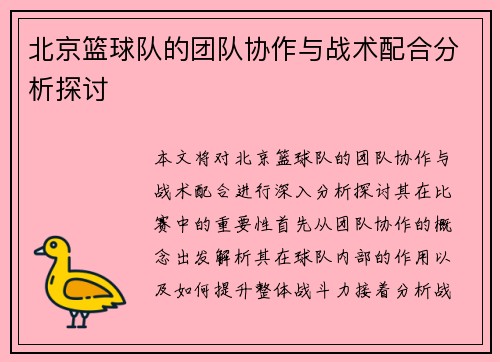 北京篮球队的团队协作与战术配合分析探讨